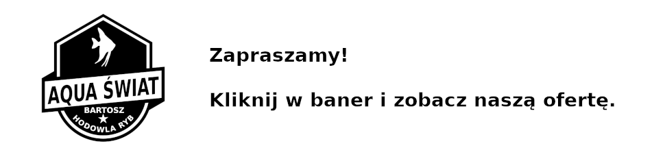 Aquaswiat.pl