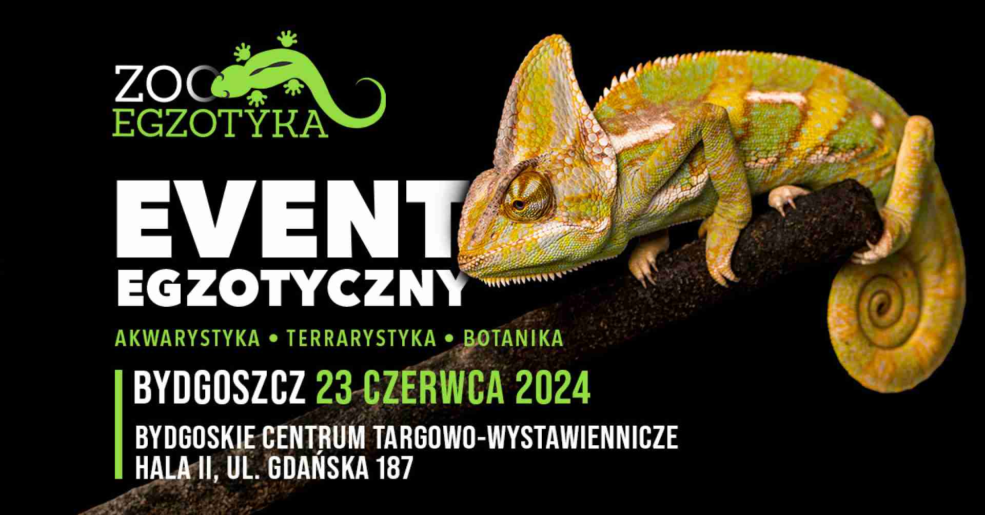 ZooEgzotyka Bydgoszcz 23.06.2024 AD [10:00 - 16:00]