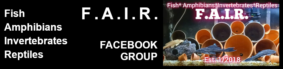 F.A.I.R. Fish Amphibians Invertebrates Reptiles