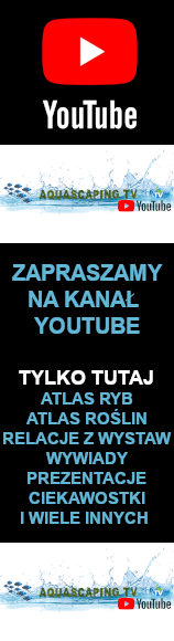 AQUASCAPING TV - kanał akwarystyczny na YouTube