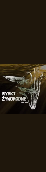 Rybki Żyworodne - grupa dyskusyjna FB