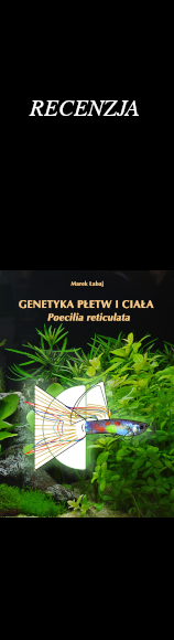GENETYKA PŁETW I CIAŁA poecilia reticulata - Marek Łabaj - recenzja na kanale YT