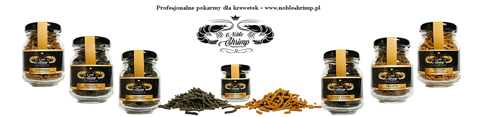 Noble Shrimp - profesjonalne pokarmy dla krewetek