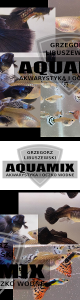 Aquamix - Libuszewski - hodowla ryb akwariowych
