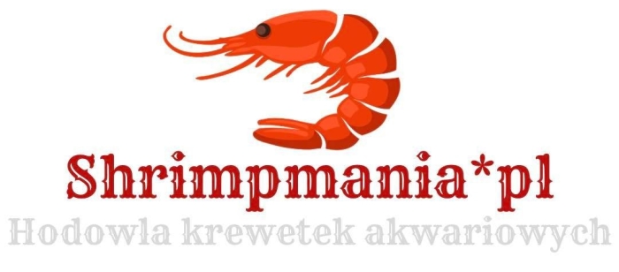 Hodowla krewetek - Shrimpmania.pl