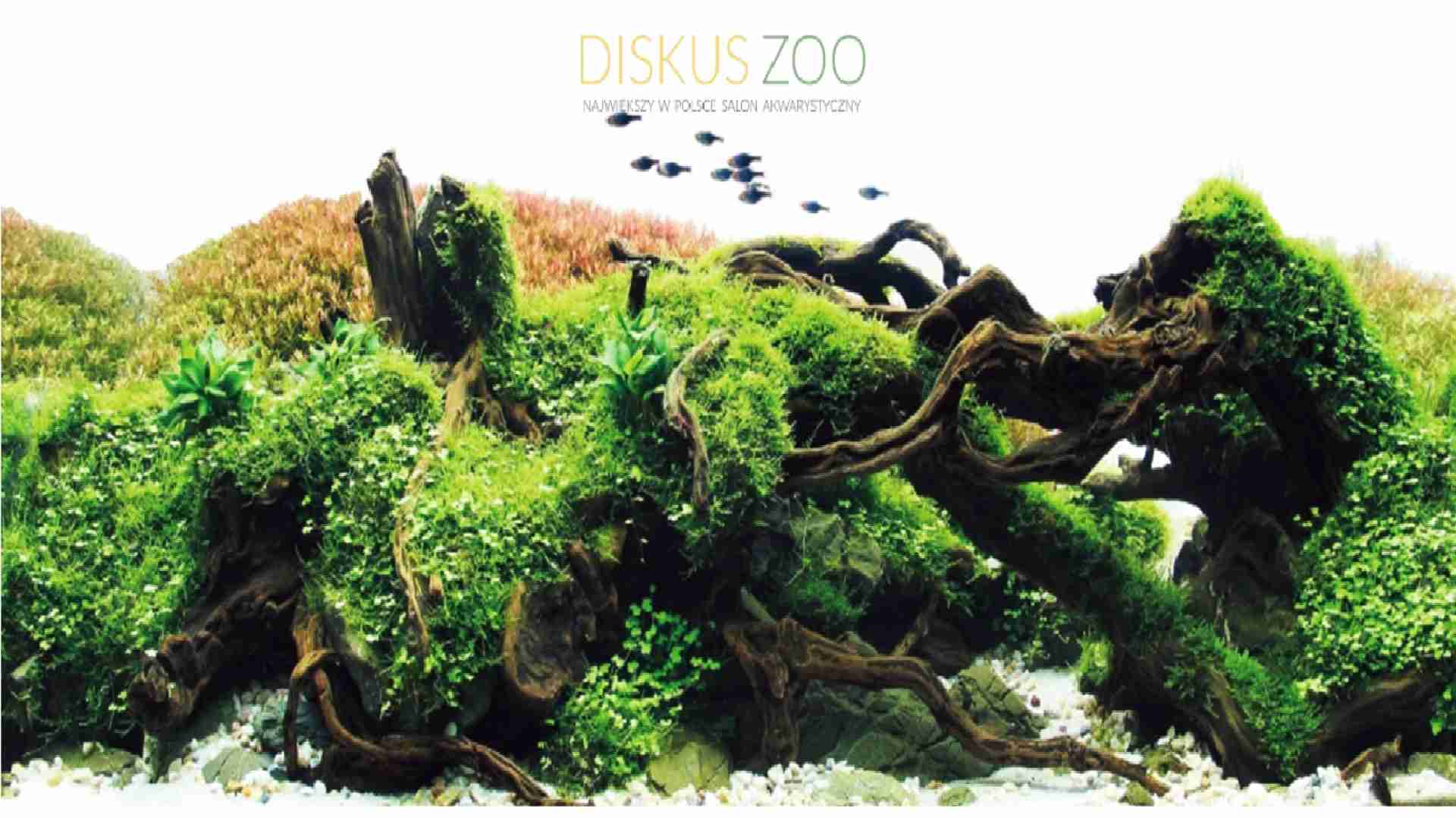 DISKUS ZOO