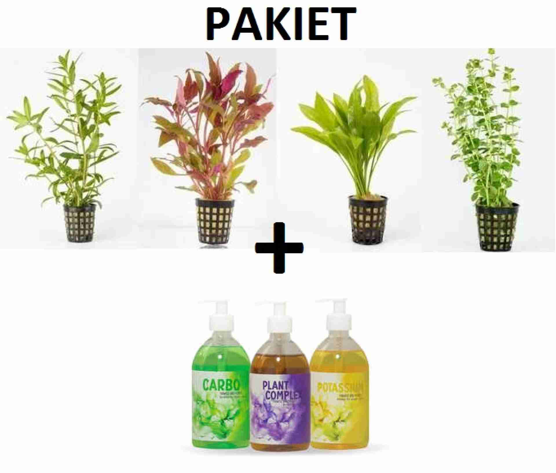 PAKIET Rośliny akwariowe 5xKOSZYK+Nawozy DIM 3x500ml