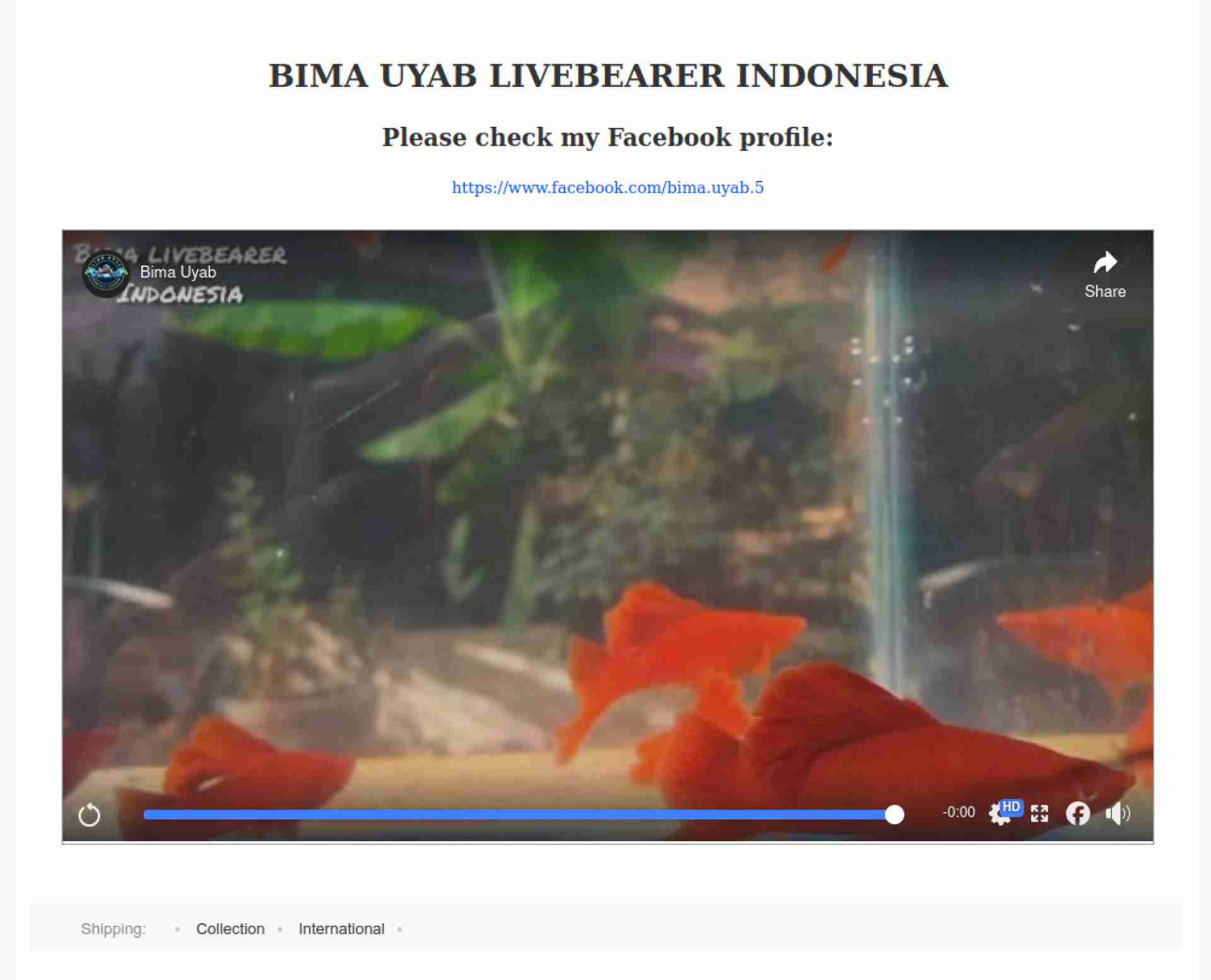 BIMA LIVEBEARER INDONESIA