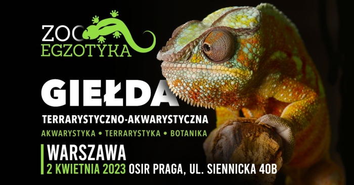 ZooEgzotyka Warszawa 02.04.2023 AD [10:00 - 16:00]