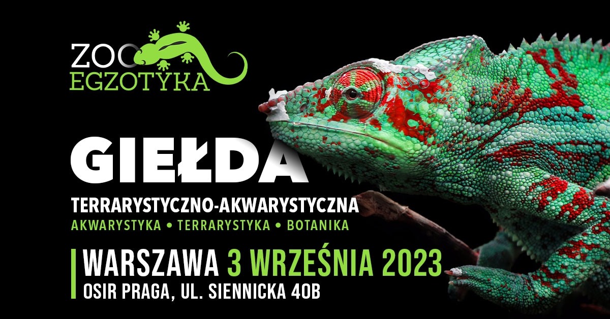 ZooEgzotyka Warszawa 03.09.2023 AD [10:00 - 16:00]