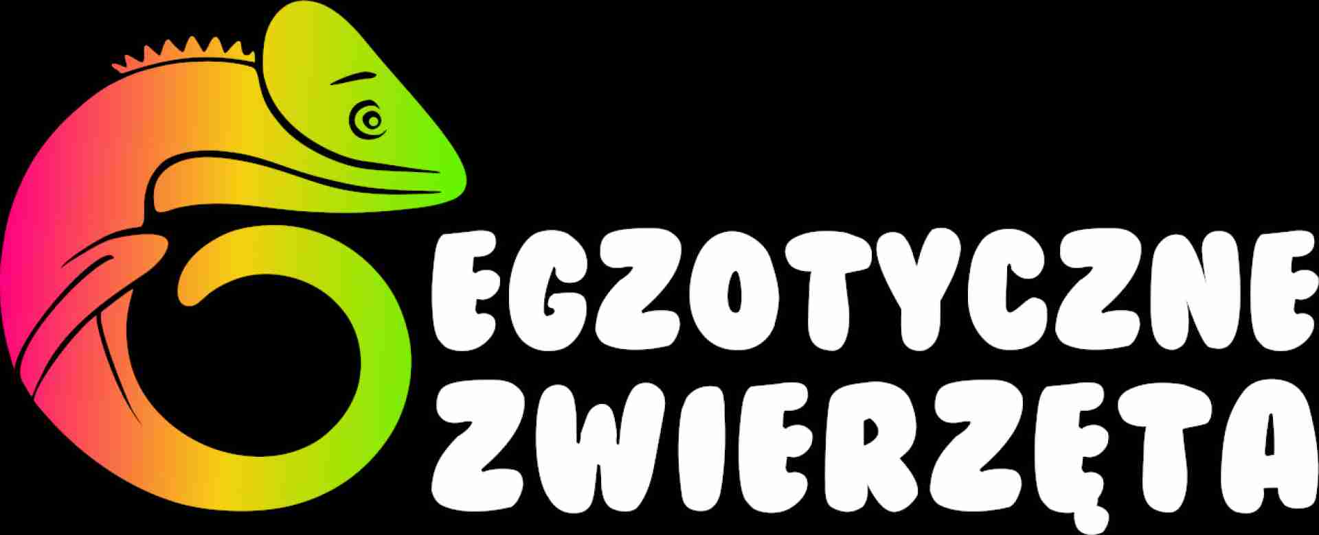 Egzotyczne Zwierzęta