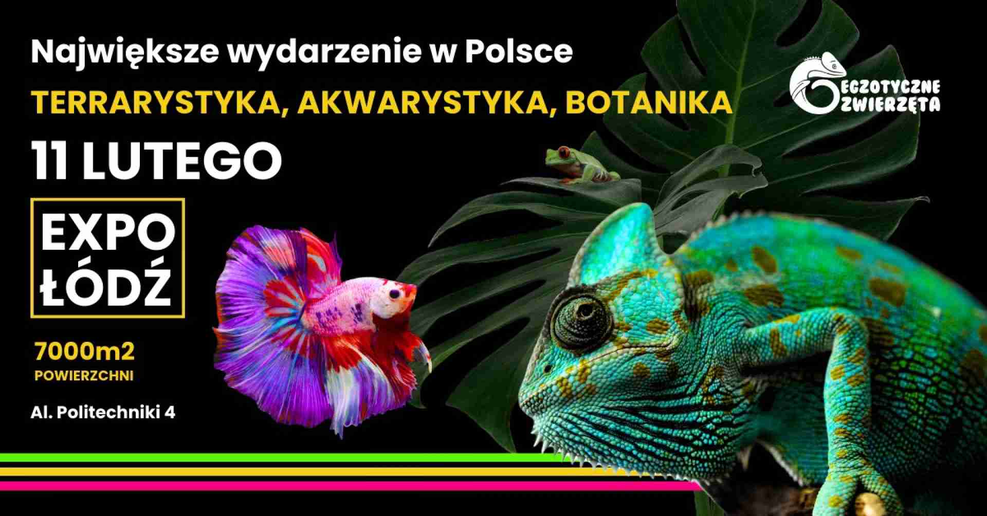 EGZOTYCZNE ZWIERZĘTA - TARGI - TERRARYSTYKA | AKWARYSTYKA | BOTANIKA. ŁÓDŹ, EXPO, POLITECHNIKI 4, 11.02.2024 AD [10:00 - 16:00]