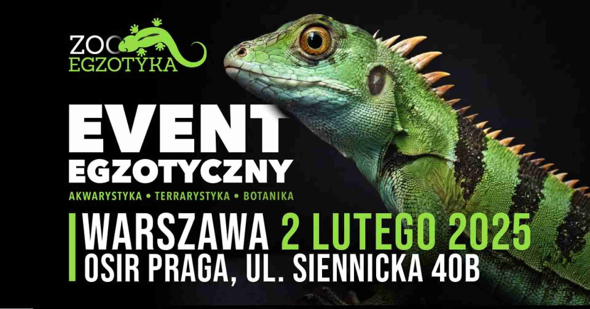 ZooEgzotyka Warszawa 02.02.2025 AD [10:00 - 16:00]