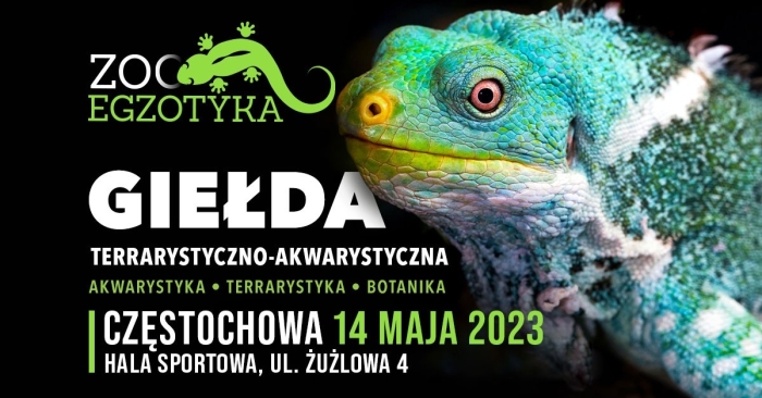 ZooEgzotyka Częstochowa 14.05.2023 AD [10:00 - 16:00]