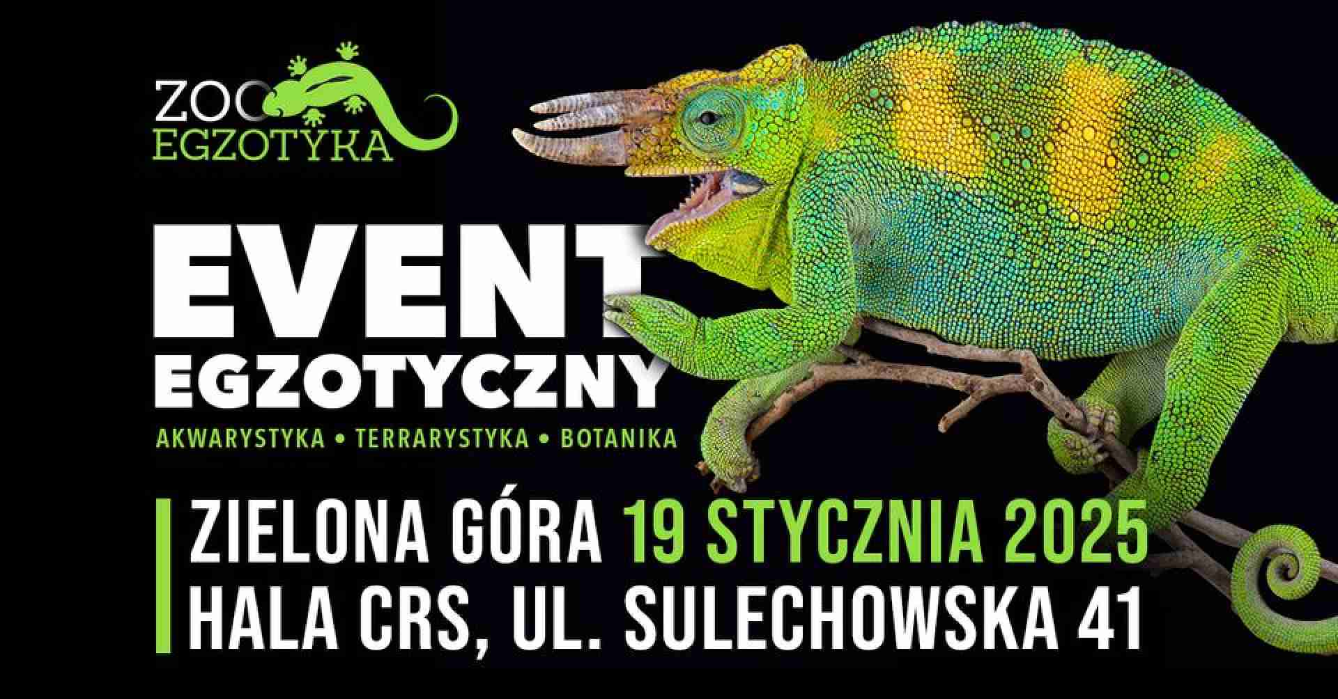 ZooEgzotyka Zielona Góra 19.01.2025 AD [10:00 - 16:00]