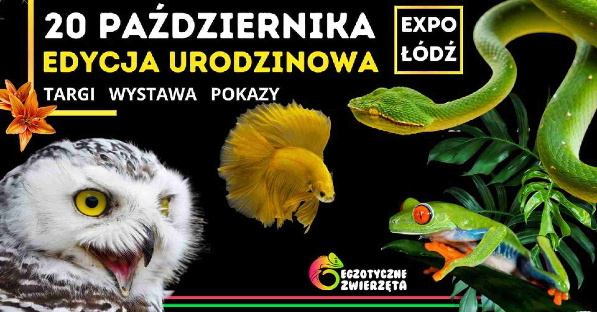 EGZOTYCZNE ZWIERZĘTA - TARGI - TERRARYSTYKA | AKWARYSTYKA | BOTANIKA. ŁÓDŹ, EXPO, 20.10.2024 AD [10:00 - 16:00]