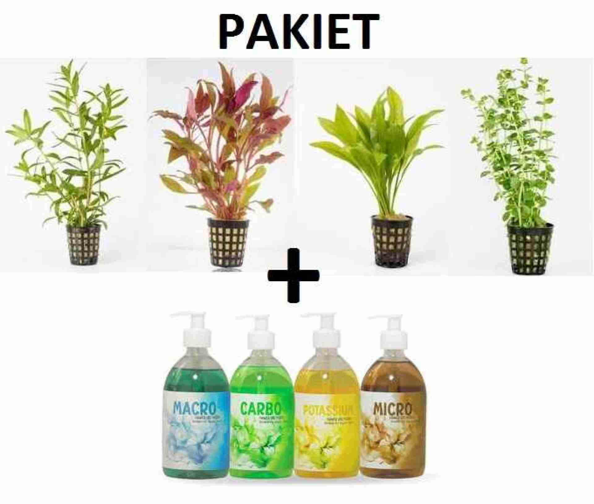 PAKIET Rośliny akwariowe 5xKOSZYK+ Nawozy DIM 4x500ml